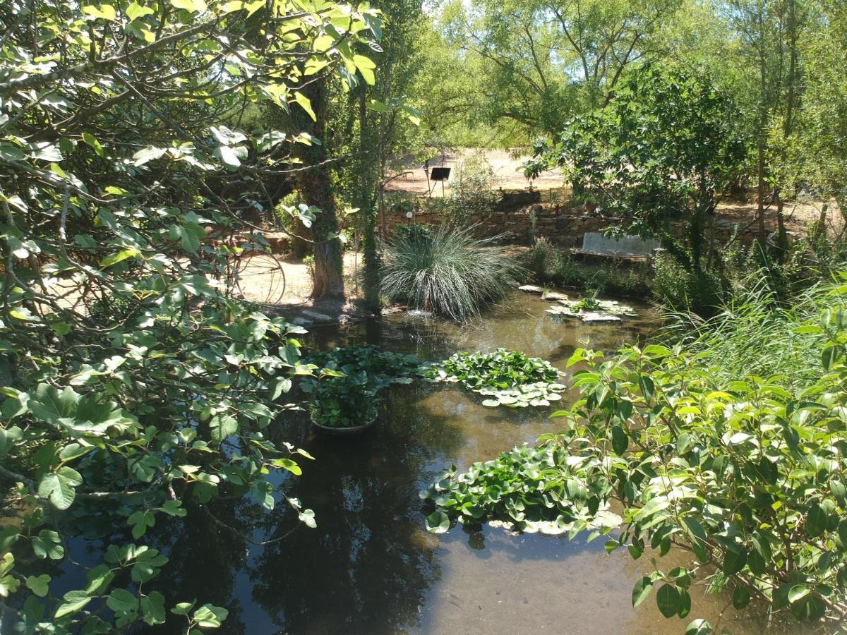 撒波兰Le Fer En Ceze住宿加早餐旅馆 外观 照片